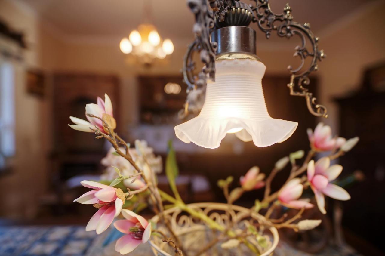 Czapla Stare Sady Bed & Breakfast Mikołajki Dış mekan fotoğraf